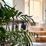 Apartmán Remote Work Friendly Zahradní U Jezera