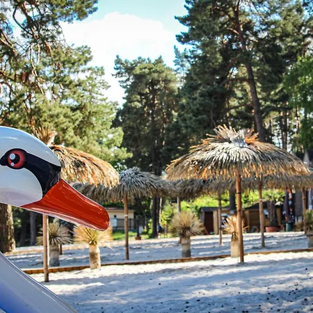 Remote Work Friendly Zahradni U Jezera Staré Splavy