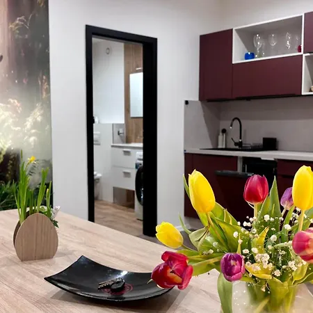 Remote Work Friendly Zahradni U Jezera Lejlighed Staré Splavy