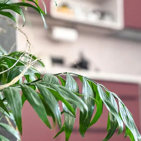 Remote Work Friendly Zahradni U Jezera *