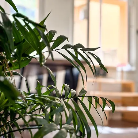 Daire Remote Work Friendly Zahradni U Jezera