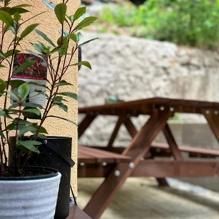 Remote Work Friendly Zahradni U Jezera Daire