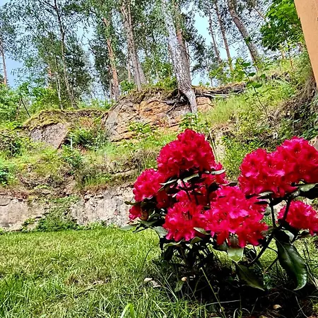 Apartment Remote Work Friendly Zahradni U Jezera Stare Splavy