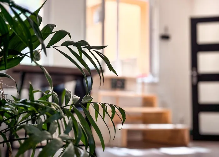 Remote Work Friendly Zahradni U Jezera * Staré Splavy