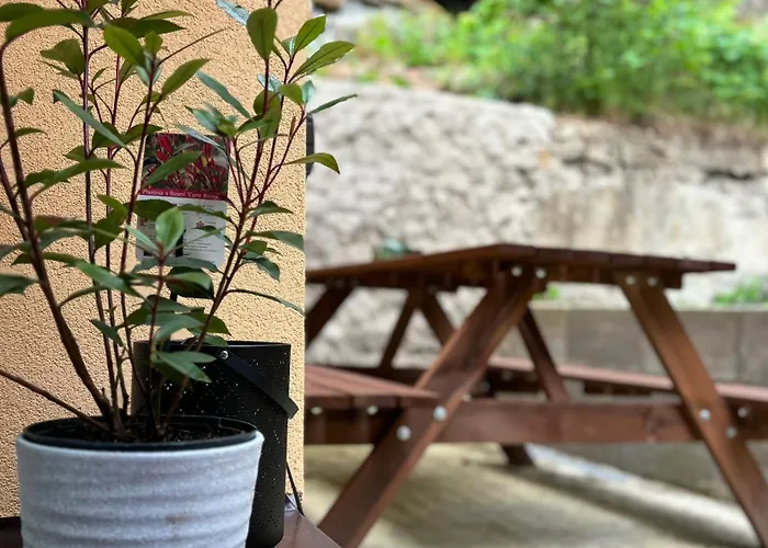 Remote Work Friendly Zahradni U Jezera Apartment